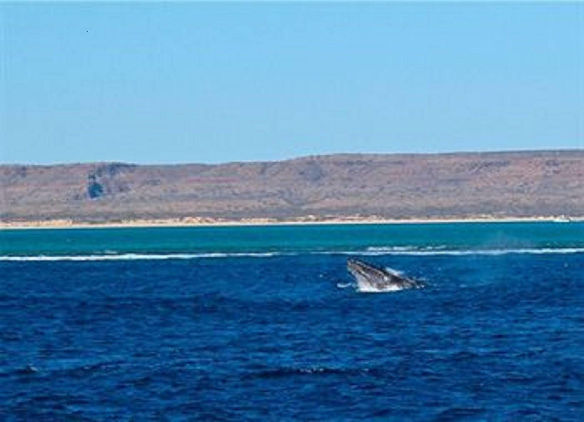 Sea Breeze Resort Exmouth Fasilitas foto
